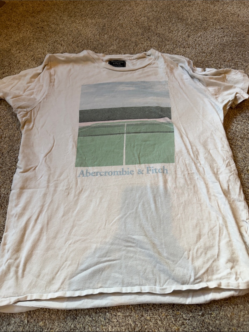 Sz M Abercrombie & Fitch White Graphic Tee with Green Court Print